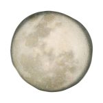 Πιάτο Ρηχό Selene 22cm