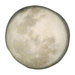 Πιάτο Ρηχό Selene 28cm