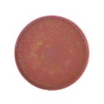 Πιάτο Επίπεδο Elipse Rosa 25cm