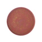Πιάτο Επίπεδο Elipse Rosa 20cm