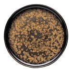 Πιάτο Επίπεδο Golden Flakes 27cm
