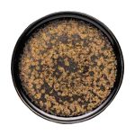 Πιάτο Επίπεδο Golden Flakes 25cm